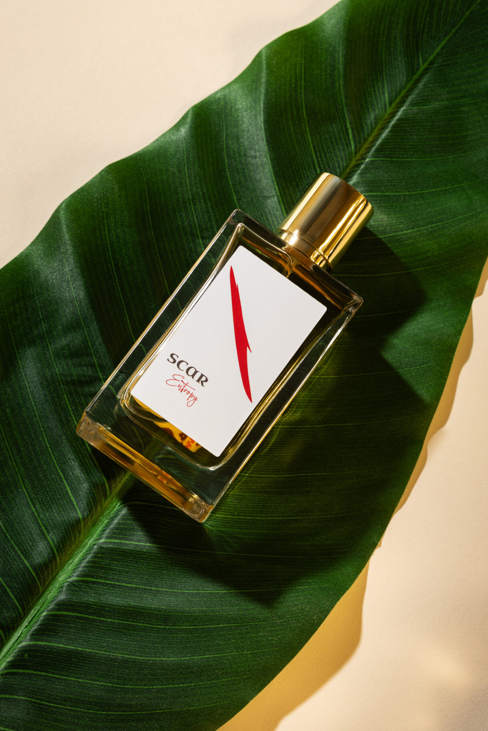 scar perfumes