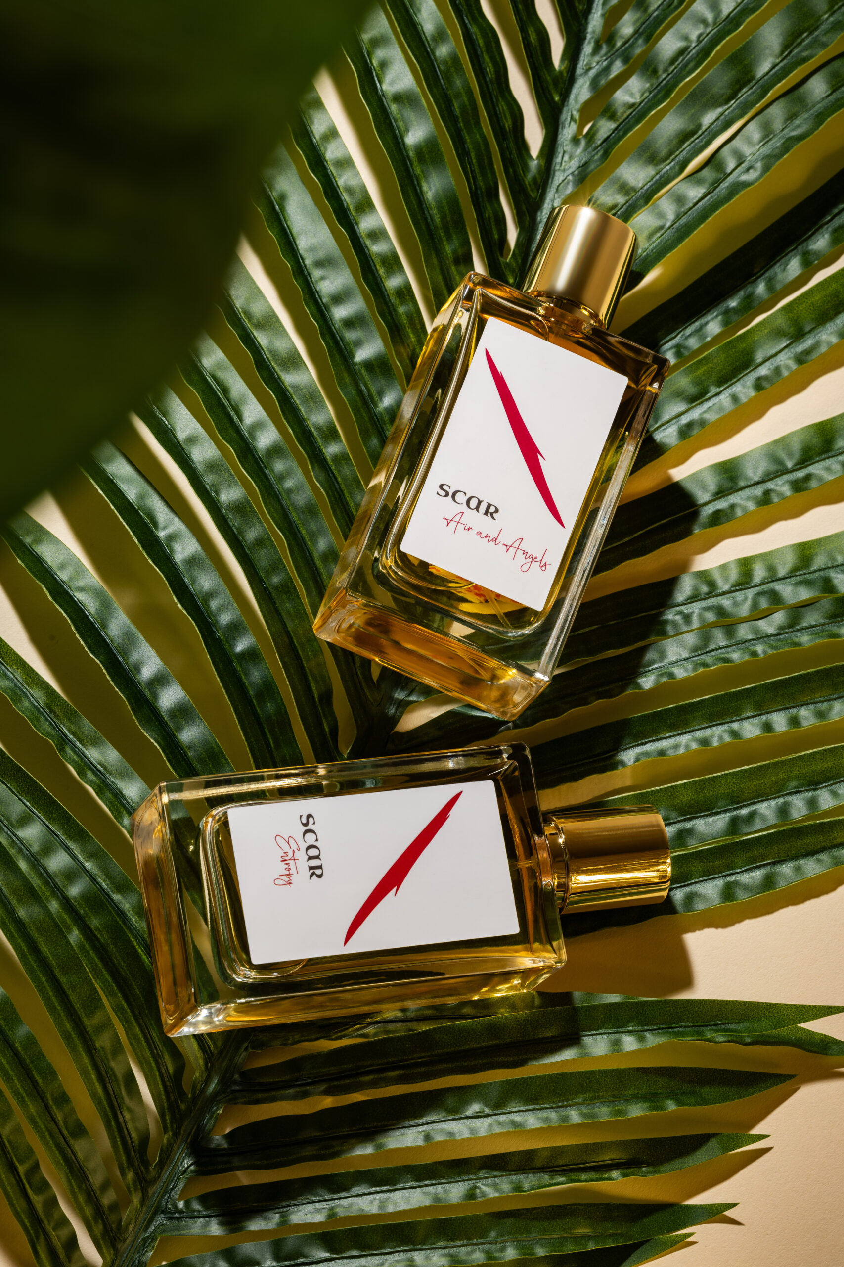scar perfumes